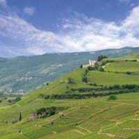 Partner A wine company unlike any other photo